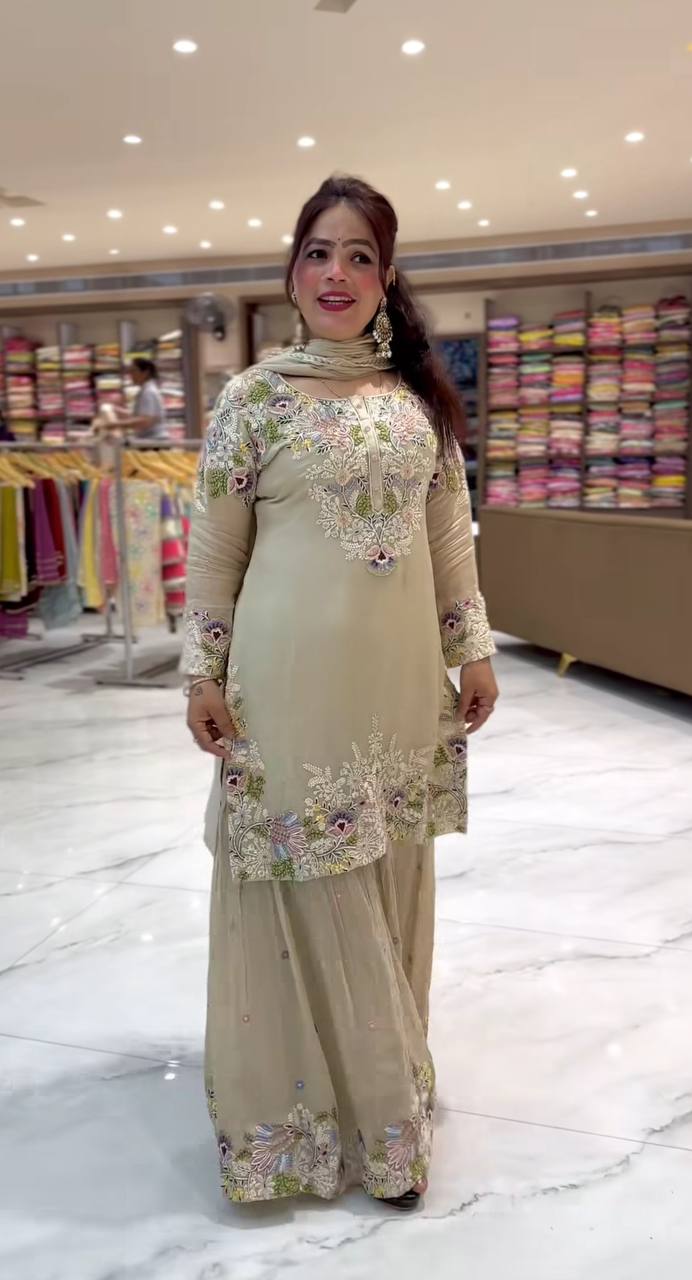 Party Wear Indian Ethnic Dress